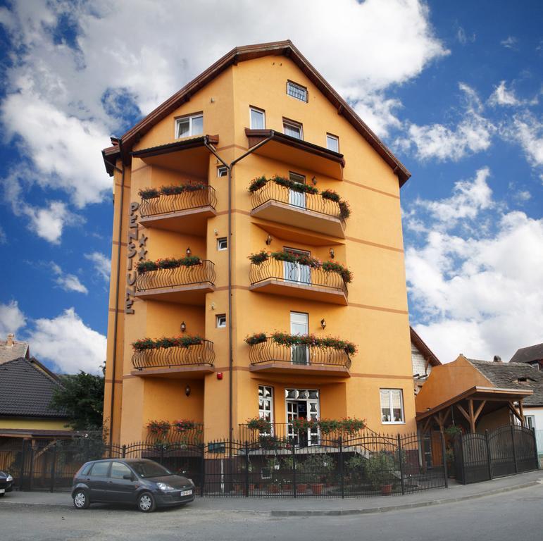 Pensiunea Amso Sibiu Exterior photo